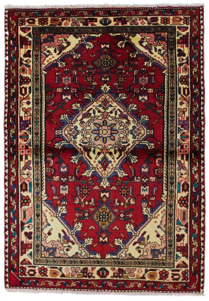 Hamedan Tappeto 160 x 110 (Iran)