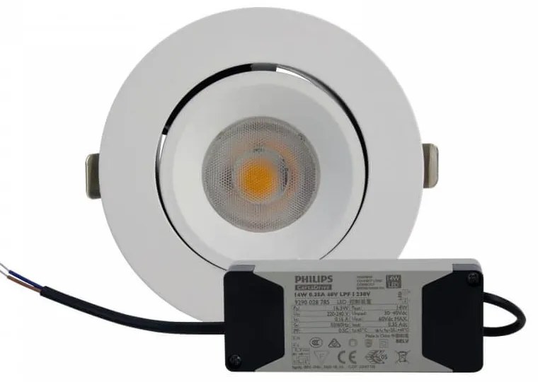 Faro LED da Incasso 15W Orientabile foro Ø100mm con driver Philips Colore Bianco Naturale 4.000K