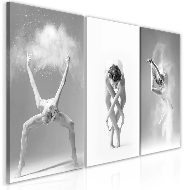 Quadro  Ballet (Collection)  Colore bianco e nero, Dimensioni e Misure 60x30