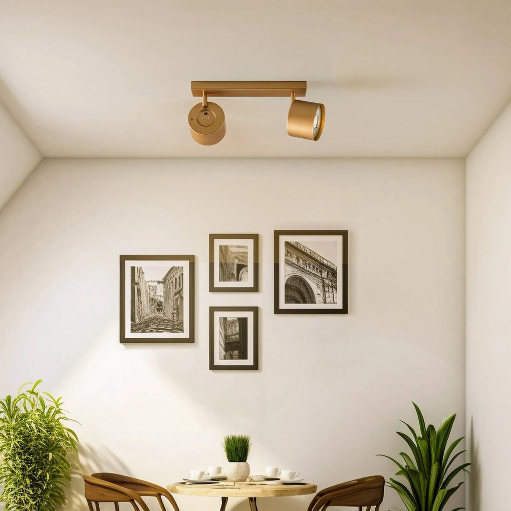 Argon Faretto da soffitto Chloe orientabile a 2 luci, oro