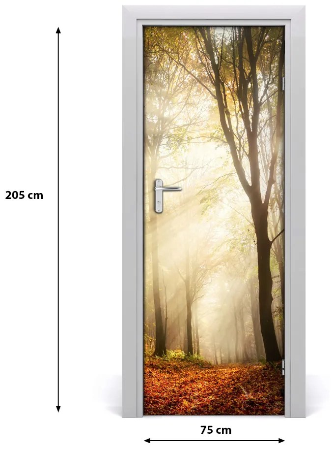 Poster adesivo per porta Foresta in autunno 75x205 cm