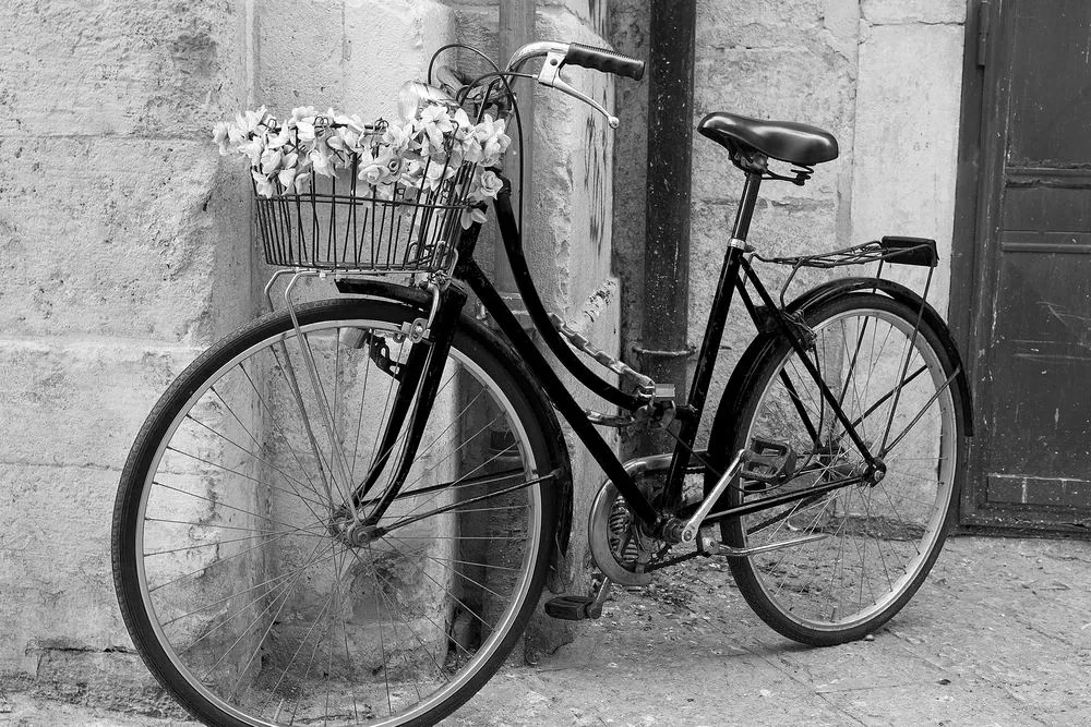 Quadro su tela – Bicicletta rustica in bianco e nero