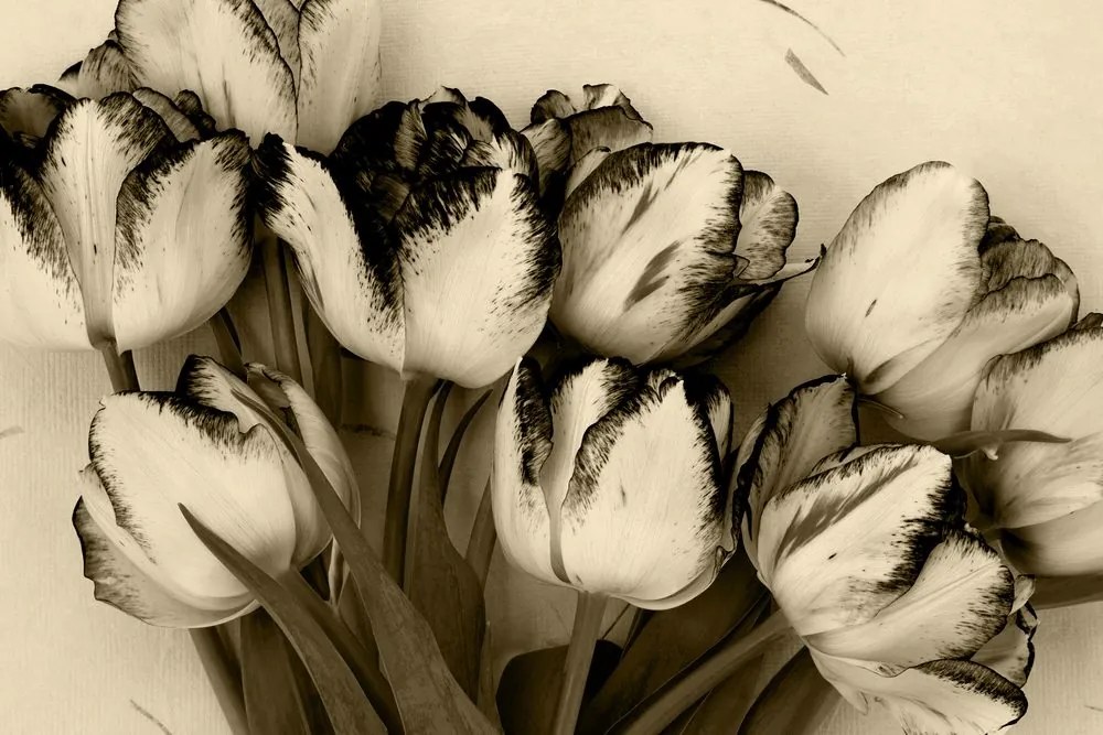 Stampa su tela – Tulipani primaverili in versione seppia