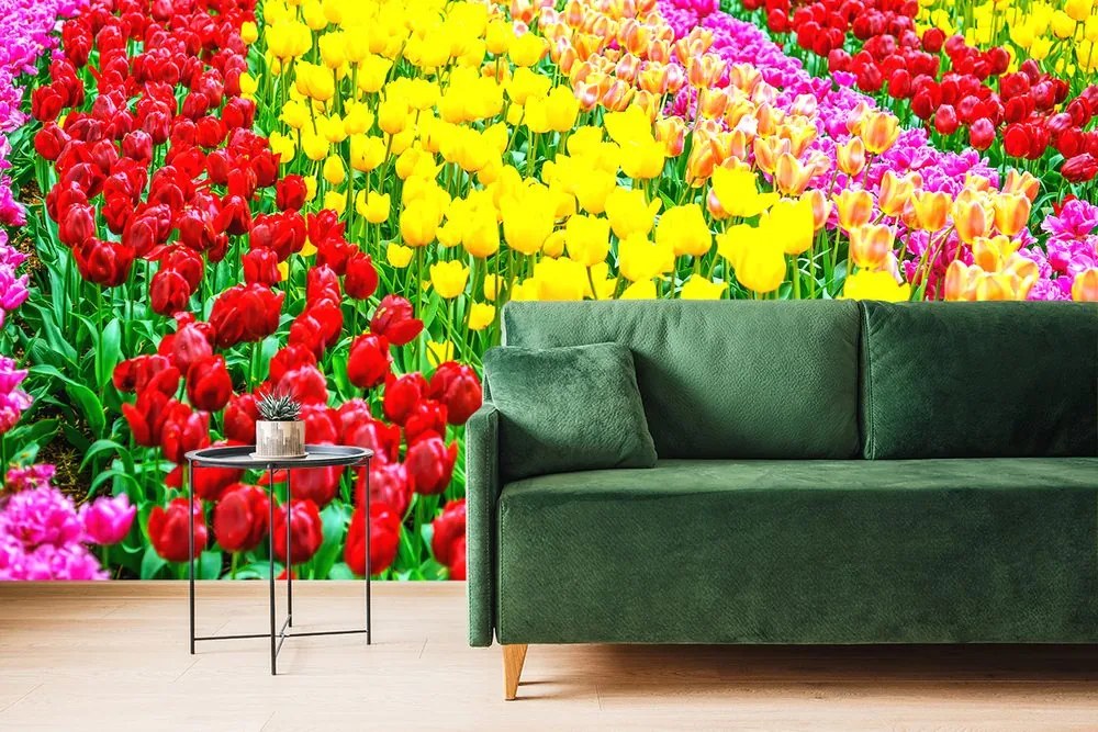 Carta da parati autoadesiva – Giardino pieno di tulipani