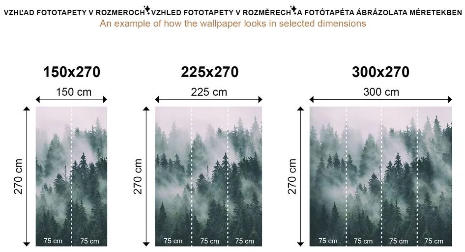 Carta da parati – Foresta nella nebbia