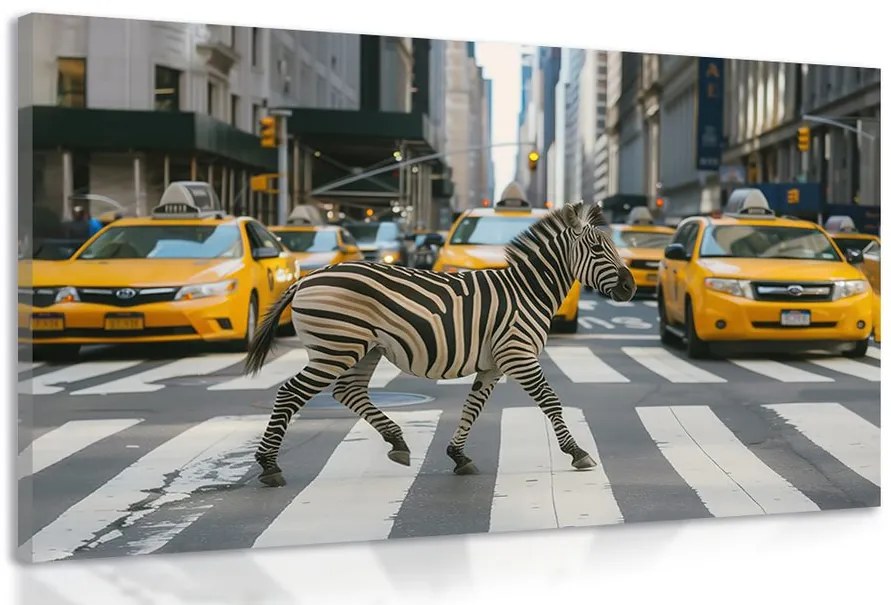 Quadro su tela – Zebra a New York