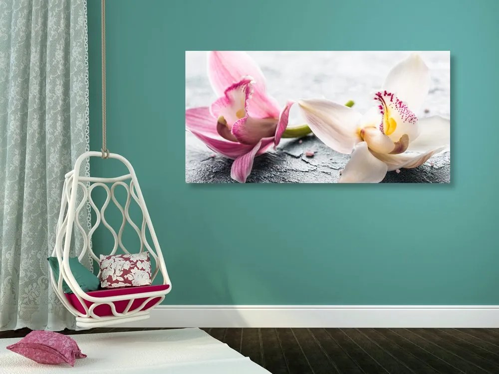 Quadro su tela – Fiori di orchidea