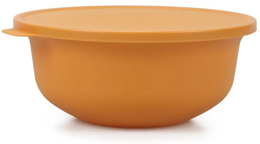 Scatole per alimenti 4 pz. - Hermia