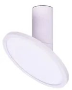 Rabalux 71328 - Plafoniera LED OVIDIA LED/20W/230V 3000K bianca