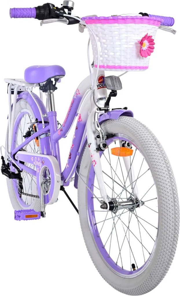 Bicicletta per Bambine 20" Stabilizzatori e Freni Vbrake con Cestino e Portabambola Viola...