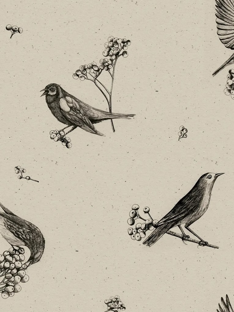 Coordonne Carta da parati Sweet Birds - Black