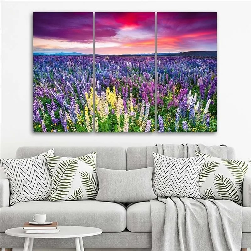 Quadro su tela 3 pezzi Campo di lavanda Natura  Dimensioni 120x80