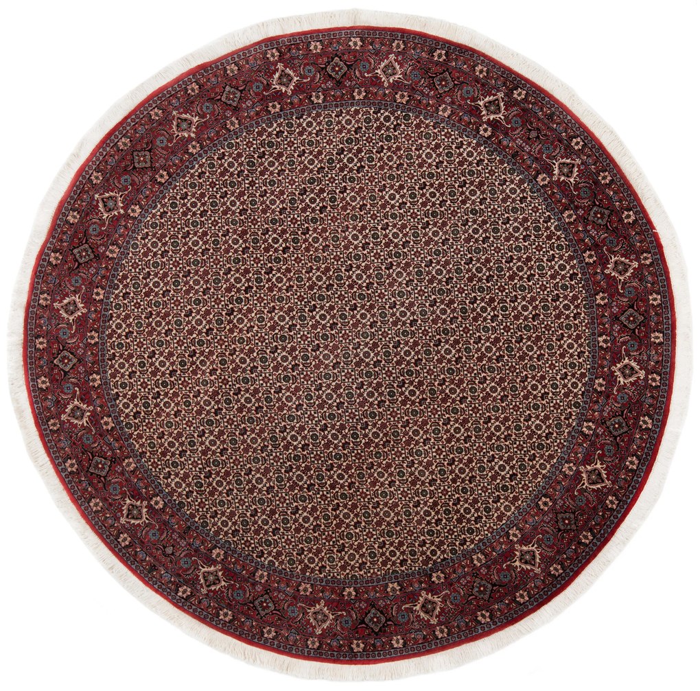 Bidjar Tappeto 250 x 250 (Iran) Annodato A Mano