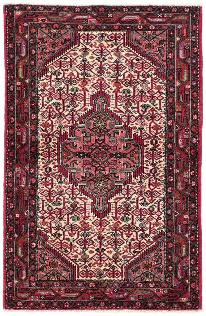 Hamedan Tappeto 160x100 (Iran) Annodato A Mano