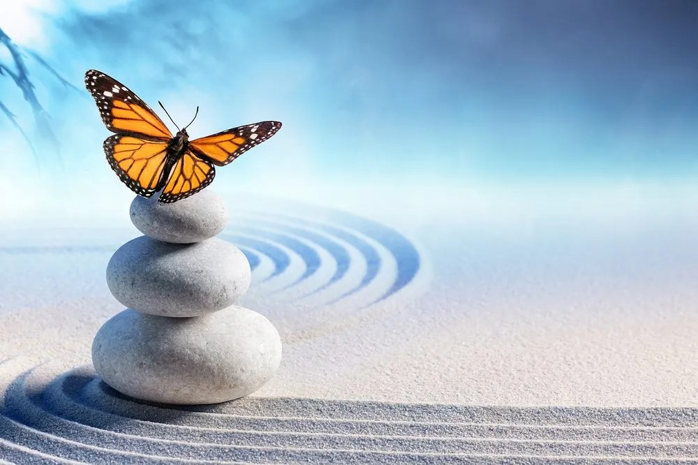 Carta da parati – Equilibrio di pietre con farfalla