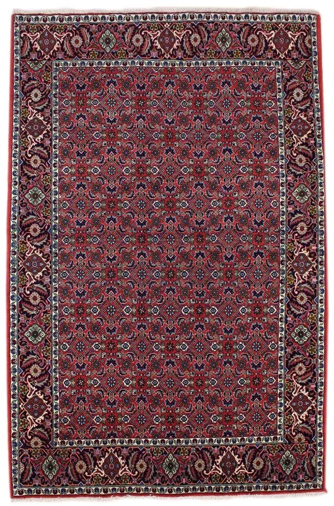 Sandjan Tappeto persiano 140 x 230 (Iran)