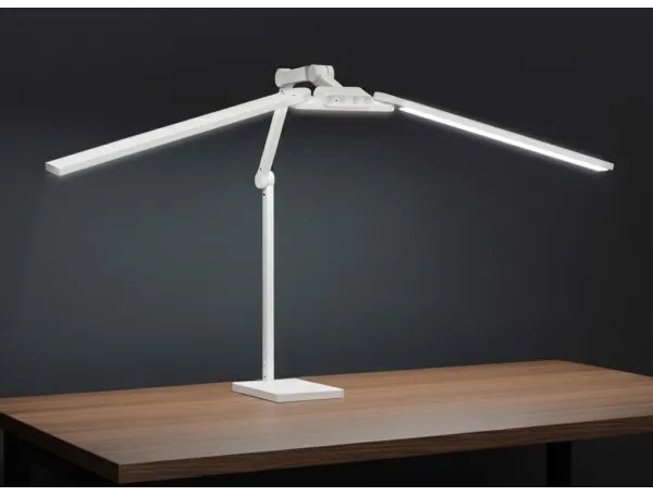 Brilagi-LED Lampada da tavolo dimmerabile a sfioramento VARIO LED/24W/230V 3000-6500K bianca