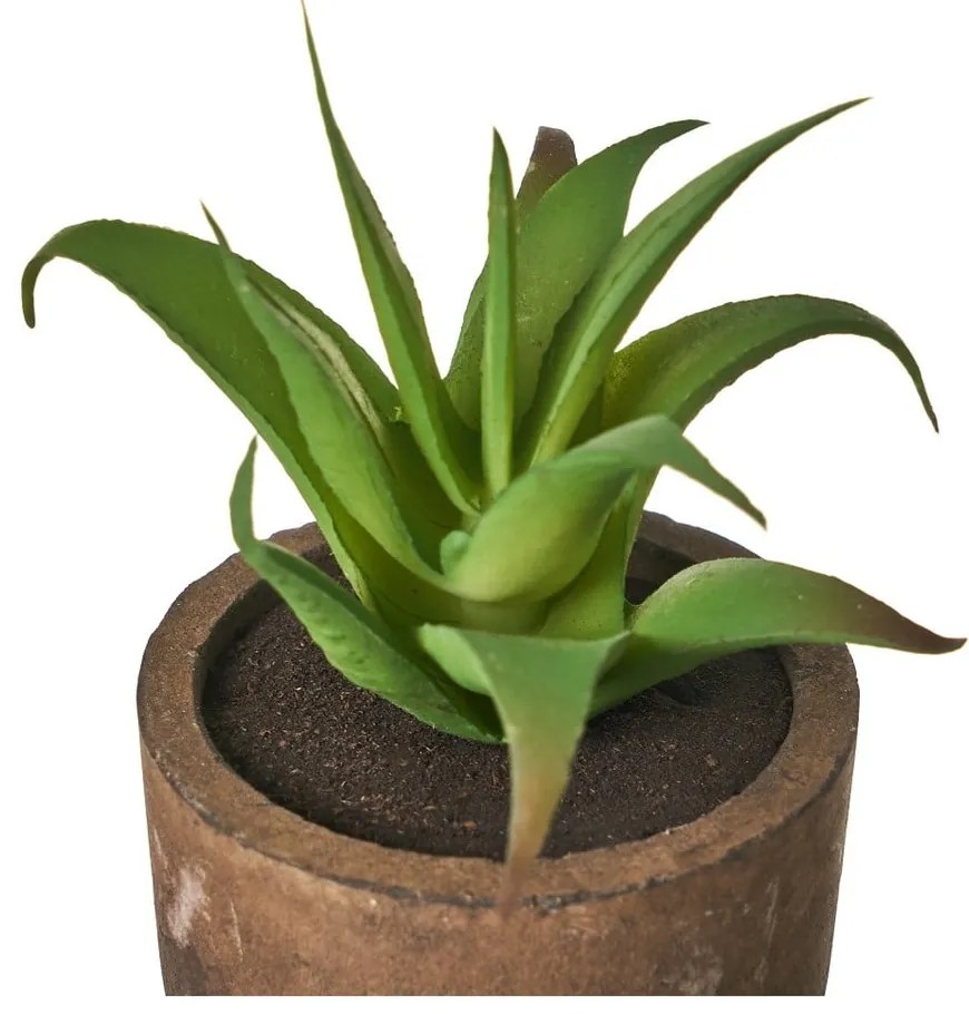 Piante artificiali in set da 4 (altezza 10 cm) Cactus - Casa Selección