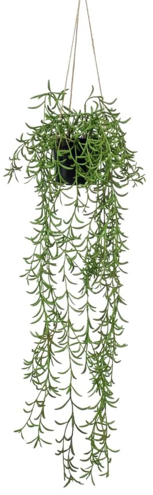 Pianta Di Senecio Artificiale Cespuglio Sospeso İn Vaso 70 Cm /