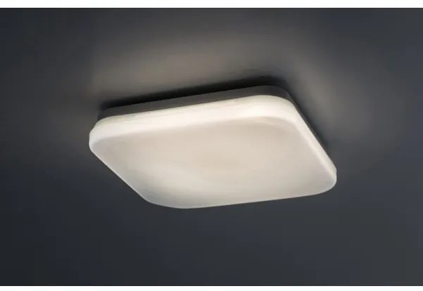 Rabalux 77134-LED Plafoniera da bagno LOWAR LED/12W/230V IP44 3000/4000/6000K