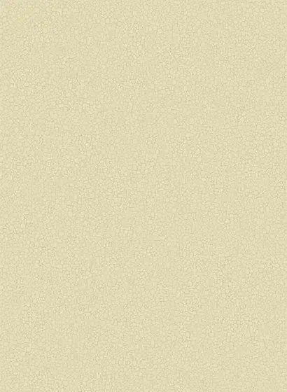 Cole & Son Carta da parati Pebble - Cream