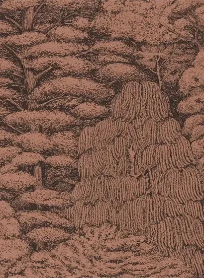 Tapete Woodland Toile von Sanderson - Copper/ Charcoal