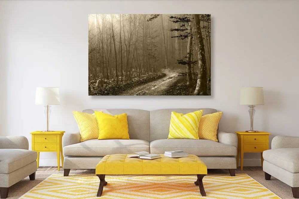 Quadro su tela – Sentiero nella foresta in seppia