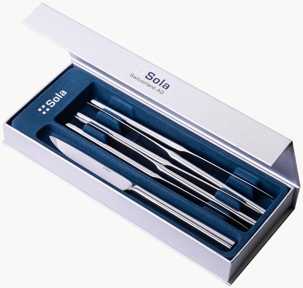 Set di 6 coltelli da bistecca Living in scatola magnetica