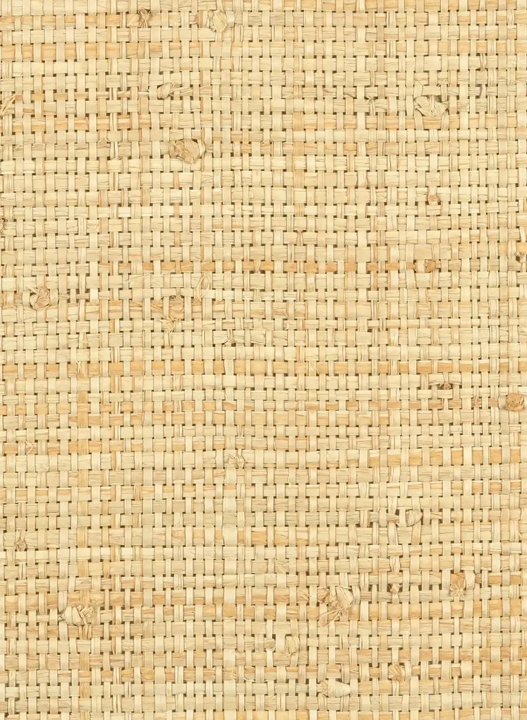 Élitis Carta da parati Cesteria - RM 1017 03