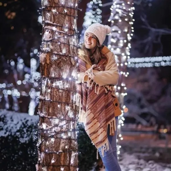 Catena LED natalizia da esterno 100xLED/10m IP44 bianco freddo