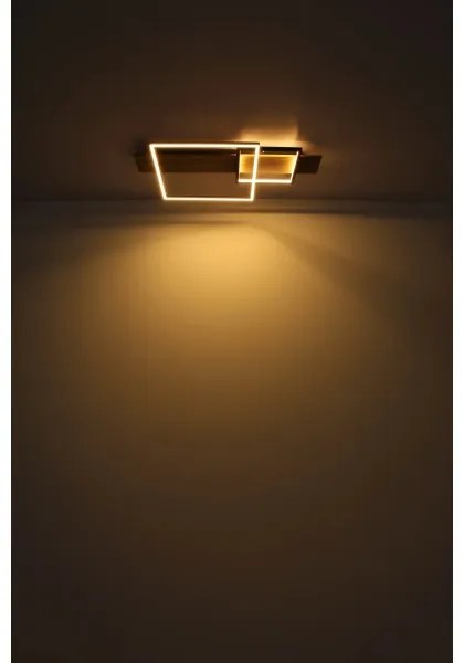 Globo 67289D1 - Plafoniera a LED VANNI, 24W/230V, marrone/nero