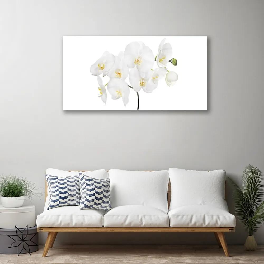Quadro in vetro acrilico Fiori di orchidea bianchi 100x50 cm