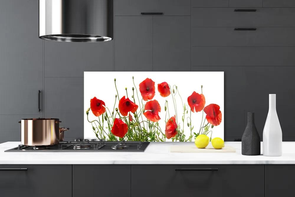 Pannello paraschizzi cucina Papaveri, fiori, natura 100x50 cm