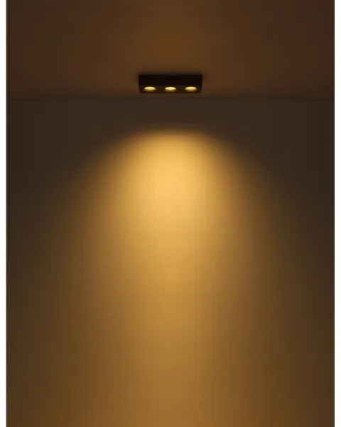 Globo 43100-3 - Plafoniera LED HANGARAU LED/14W/230V 11,7x33,2 cm