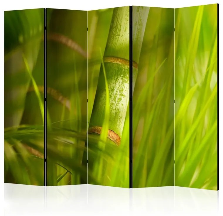 Paravento  bamboo  nature zen II [Room Dividers]  Colore Verde, Dimensioni e Misure 225x172