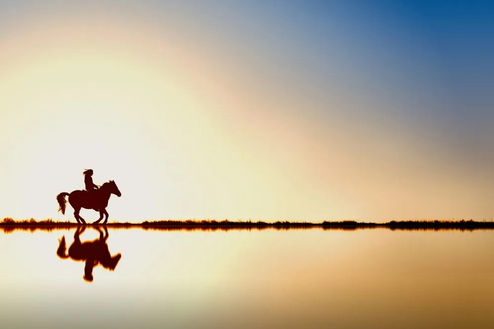 Carta da parati – Cavaliere a cavallo