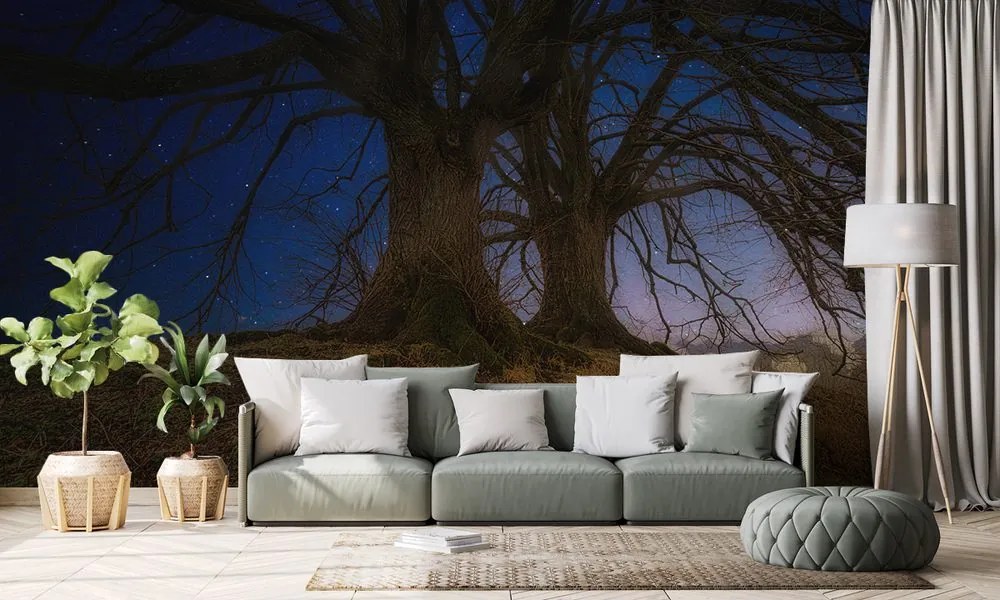 Carta da parati – Alberi nel paesaggio notturno