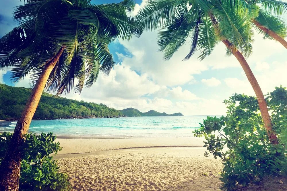 Quadro su tela – Tramonto sull'isola delle Seychelles