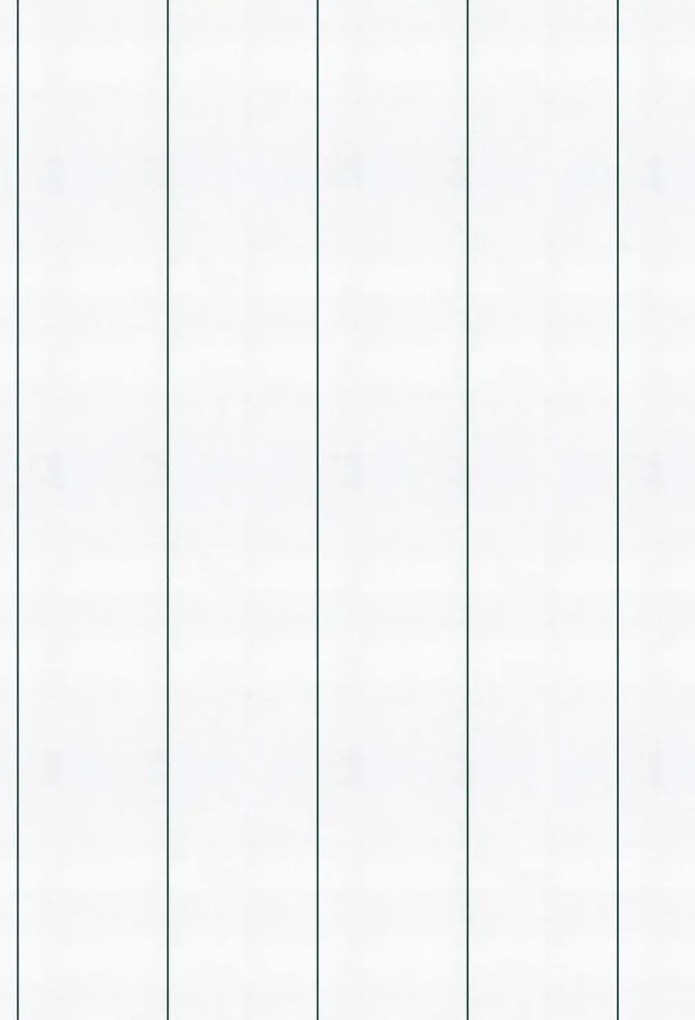 Coordonne Carta da parati Stripe 0.3 - Parra