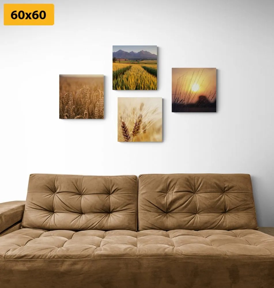 Set di quadri – Incanto della natura