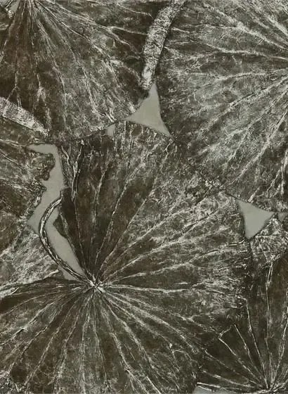 Zoffany Carta da parati Taisho D - Fossil