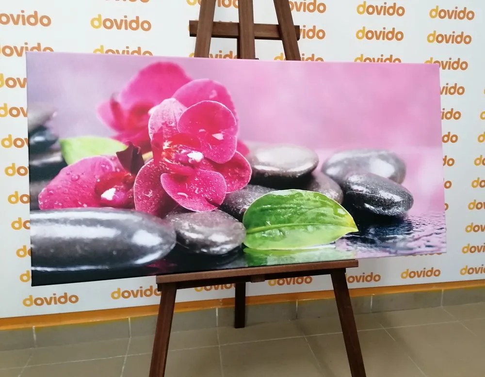 Stampa su tela – Orchidea con tocco di relax