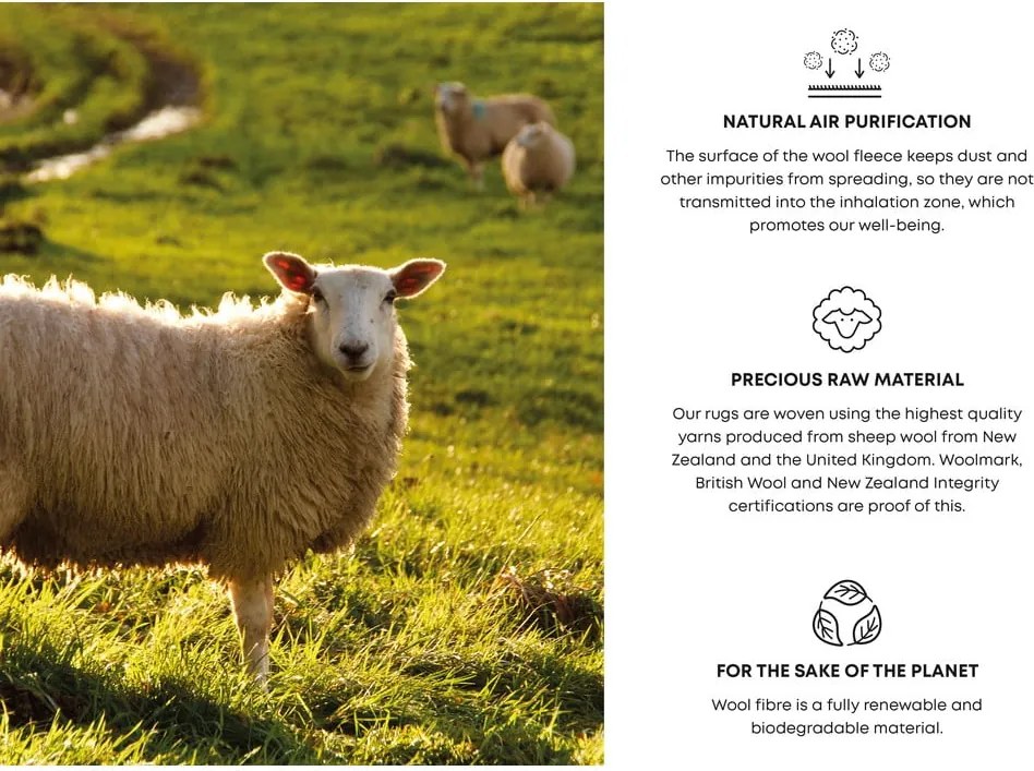 Tappeto di lana in rame 133x180 cm Max - Agnella