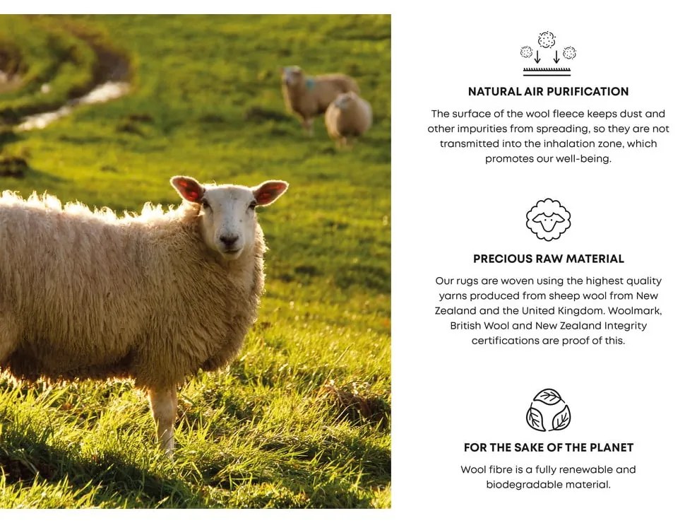 Tappeto in lana grigio chiaro 120x180 cm Credo - Agnella