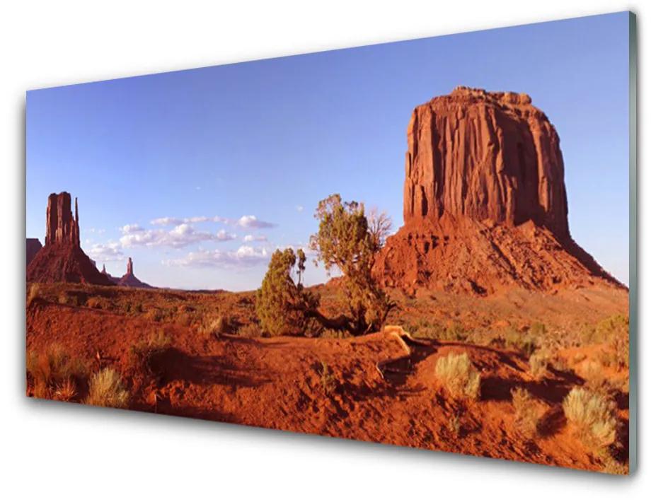 Quadro acrilico Paesaggio di sabbia del deserto 100x50 cm