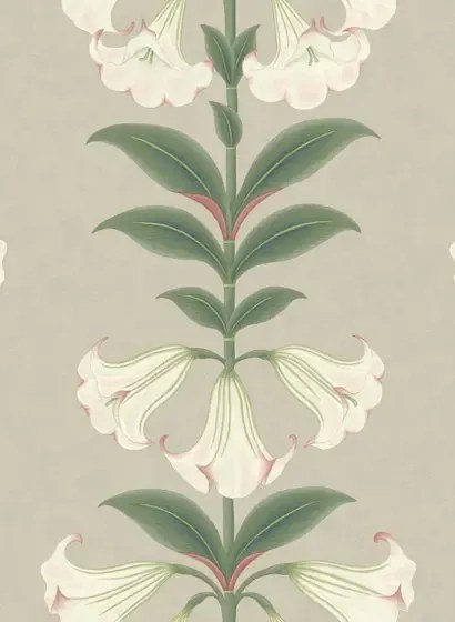 Cole & Son Carta da parati Angels Trumpet - Chalk/ Sage on Stone
