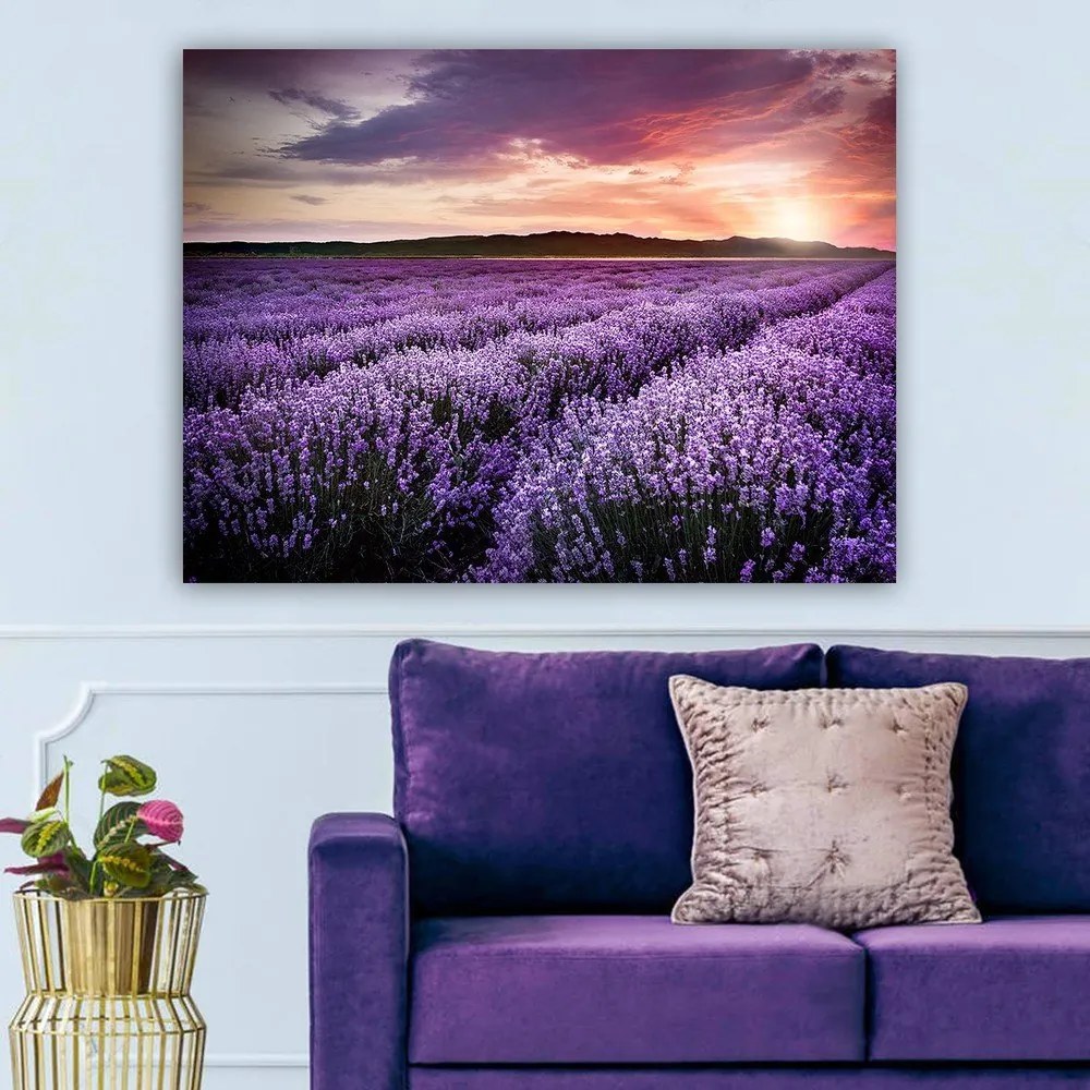 Dipinto 100x70 cm Lavender Field - Wallity