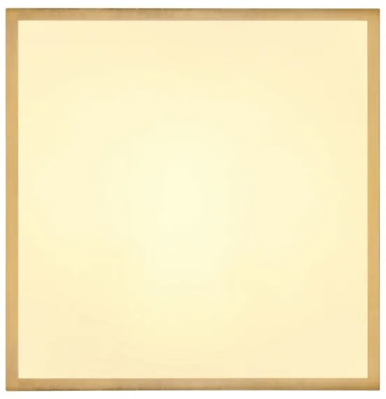 Globo 12382-22 - Plafoniera LED TIBEY LED/22W/230V 35x35 cm