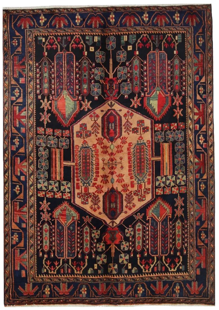 Sirjan Tappeto 160 x 230 (Iran)