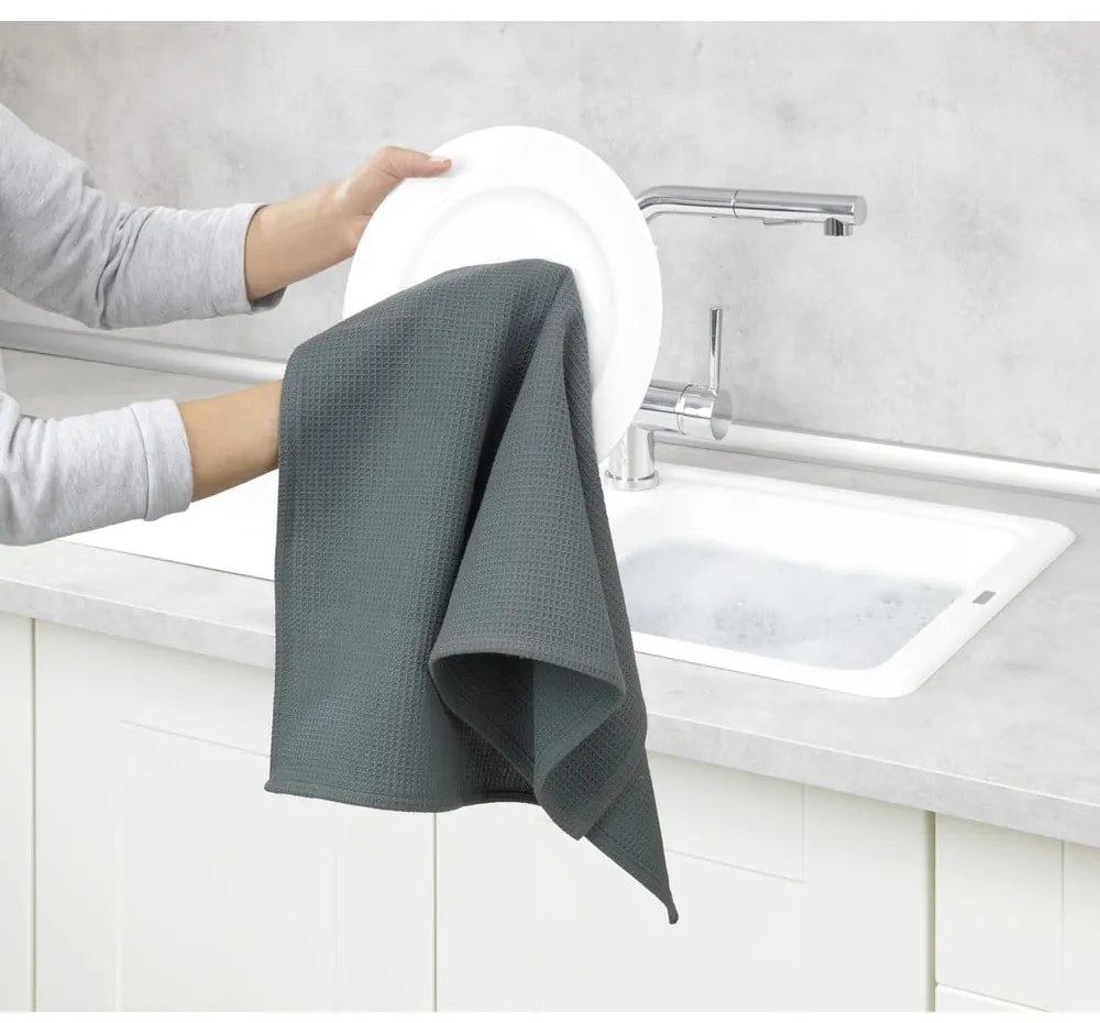 Strofinaccio in cotone 45x65 cm Tito – Wenko